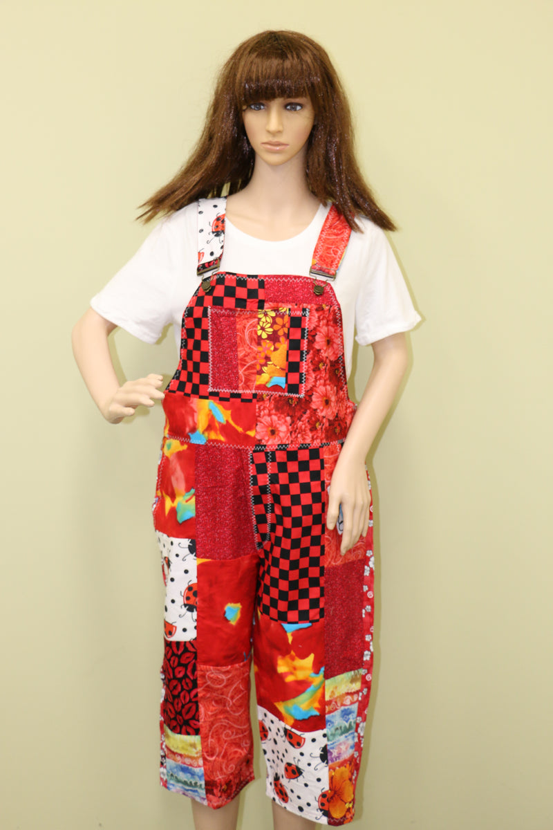 #1671 Ladybug Kisses Overalls