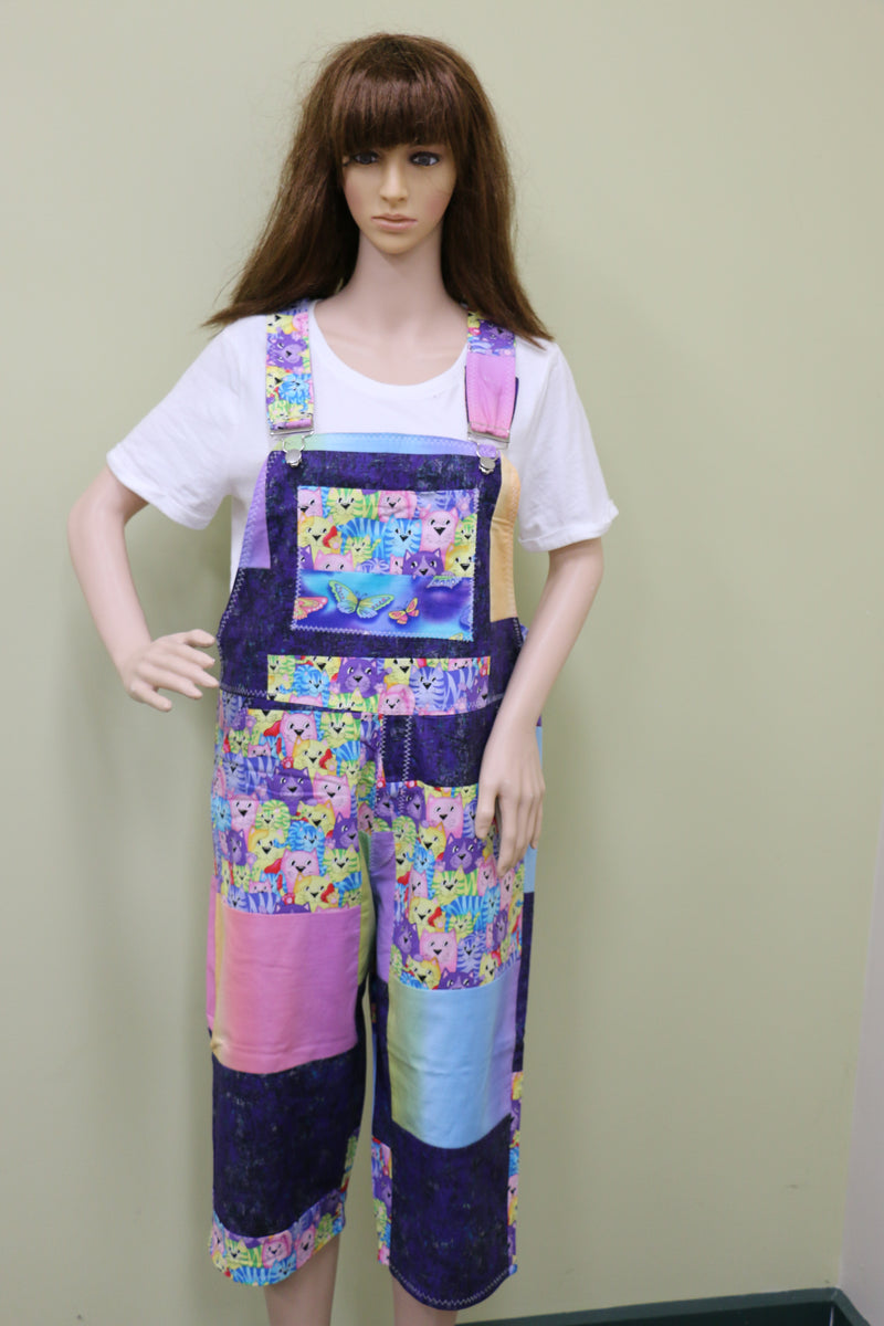 #1648 Colourful Cats Overalls