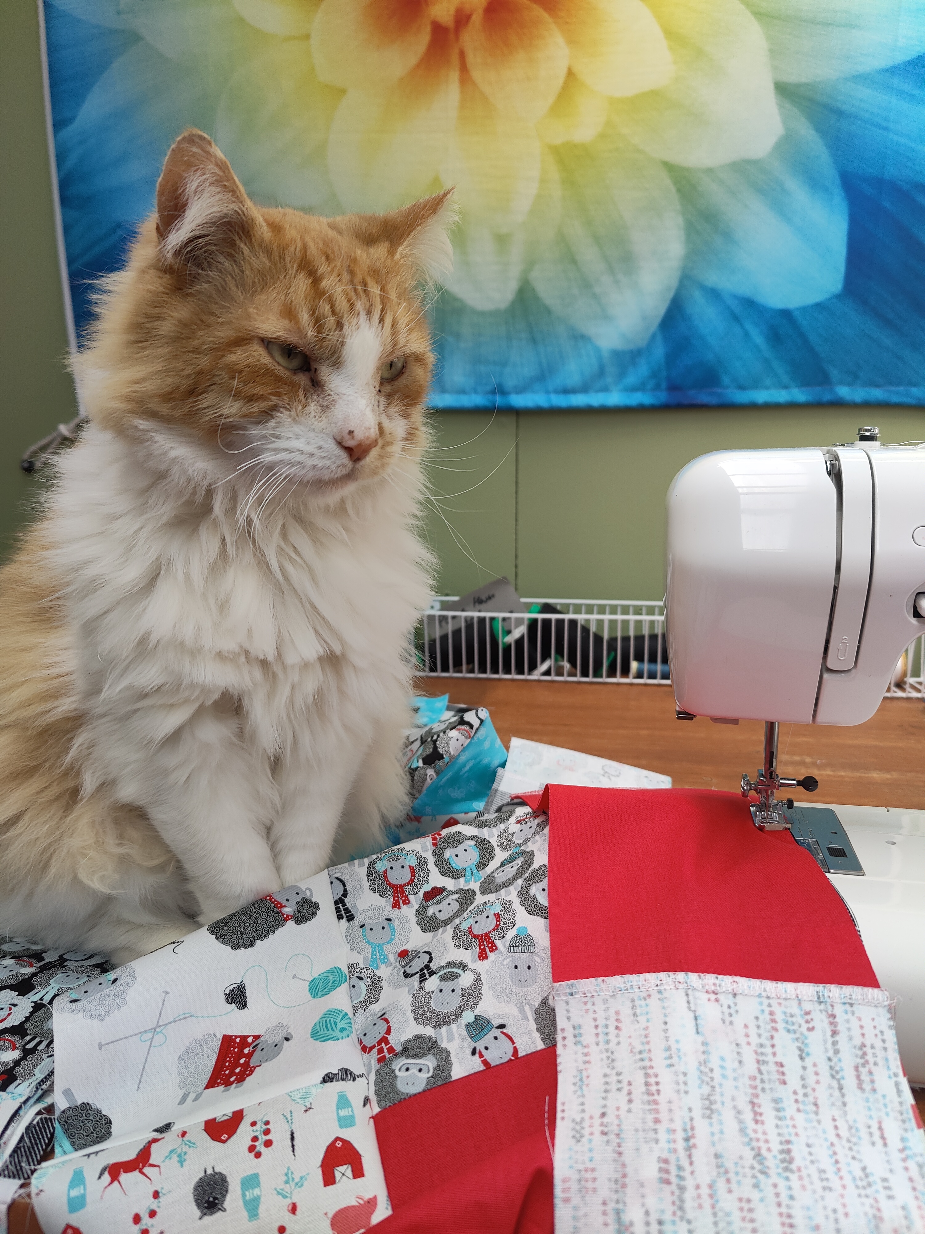 Rusty supervising at the sewing machine
