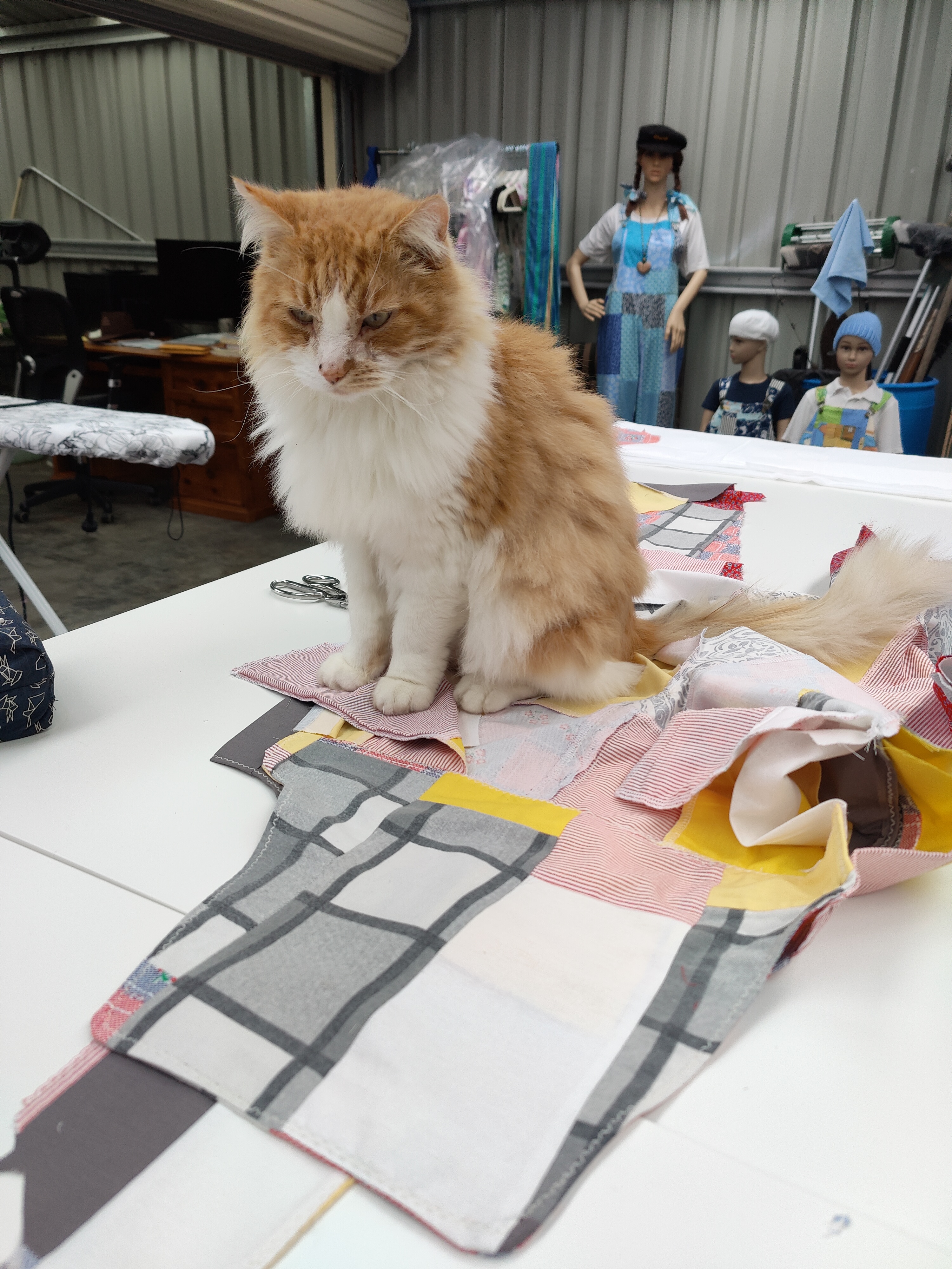 Rusty the cat sitting on a finished patchwork garment